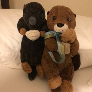 Meet your Posher, Patrick